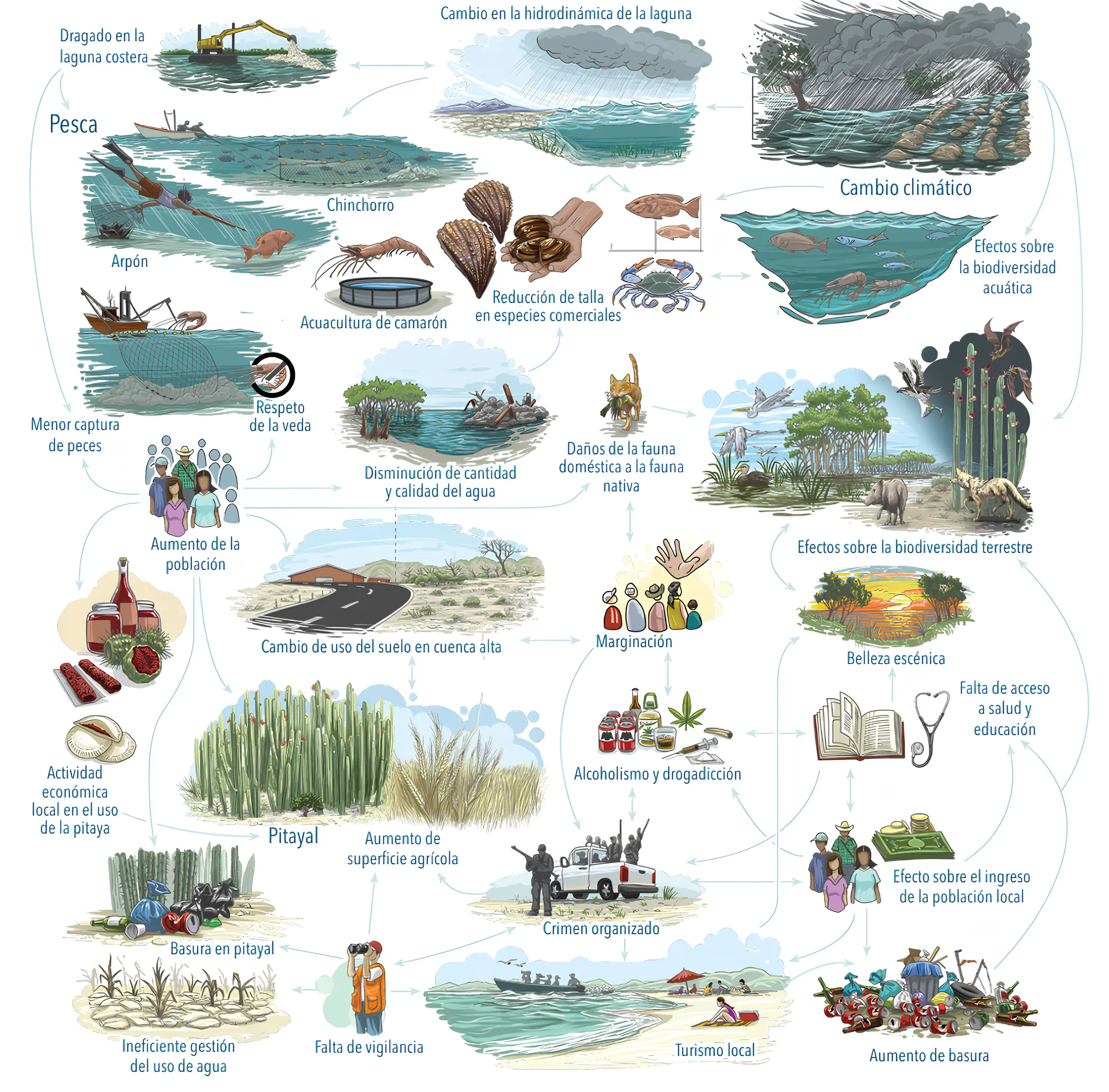 Ilustración de elementos conectados del ecosistema