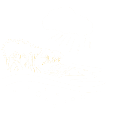 Ecosistemas y paisajes