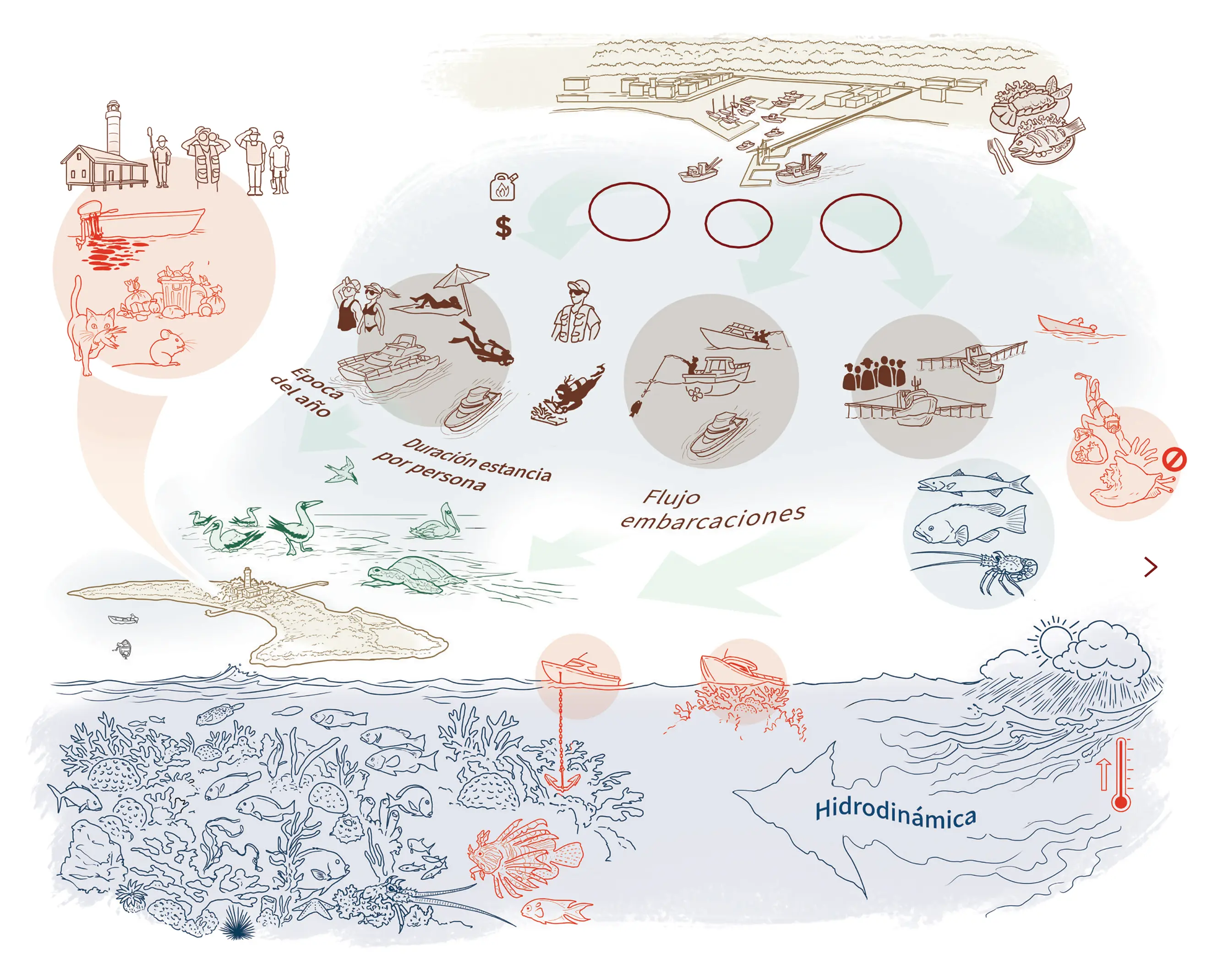 Ilustración de elementos conectados del ecosistema