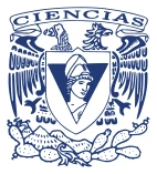 Facultad de Ciencias UNAM