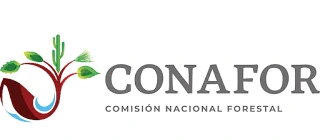 CONAFOR