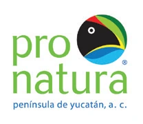 Pronatura Península de Yucatán
