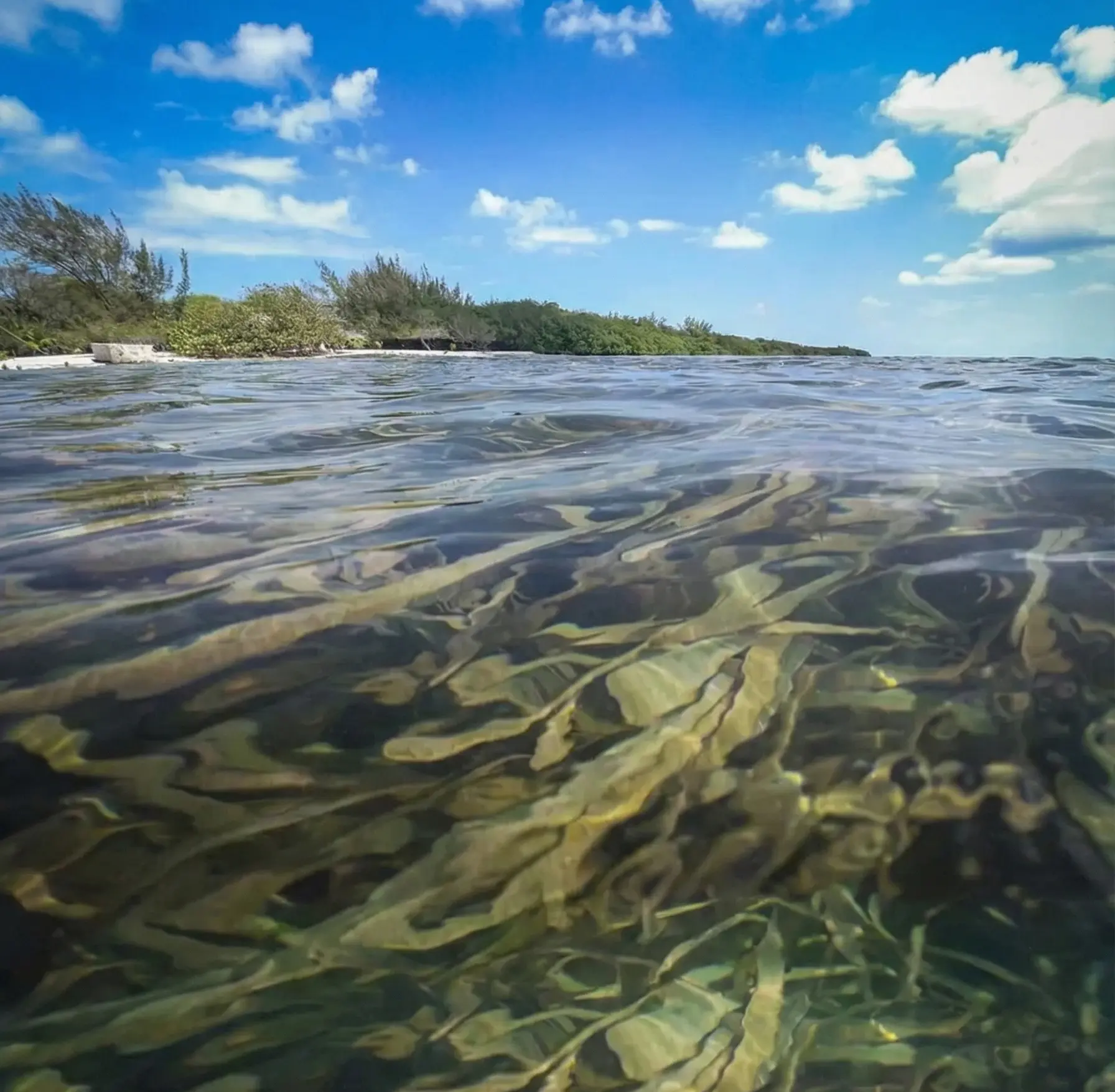 Celestún - Foto: Abraham Reyes