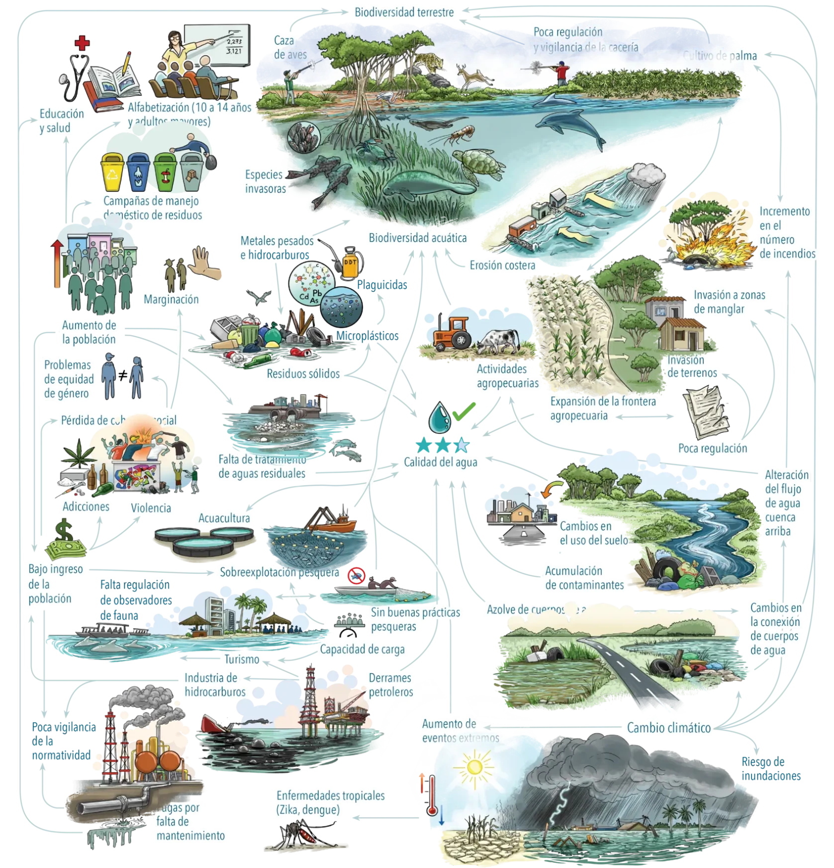 Ilustración de elementos conectados del ecosistema