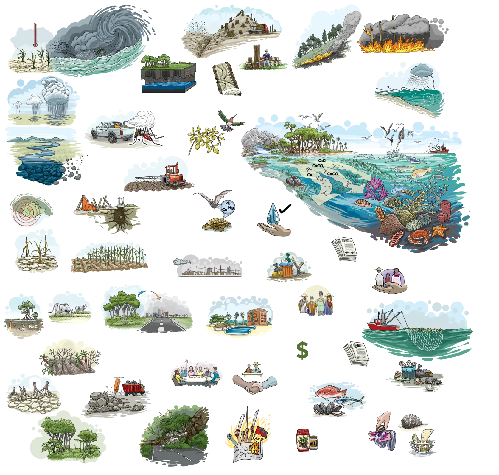 Ilustración de elementos conectados del ecosistema