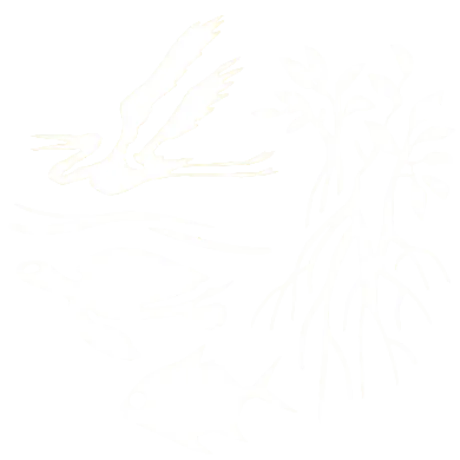 Biodiversidad