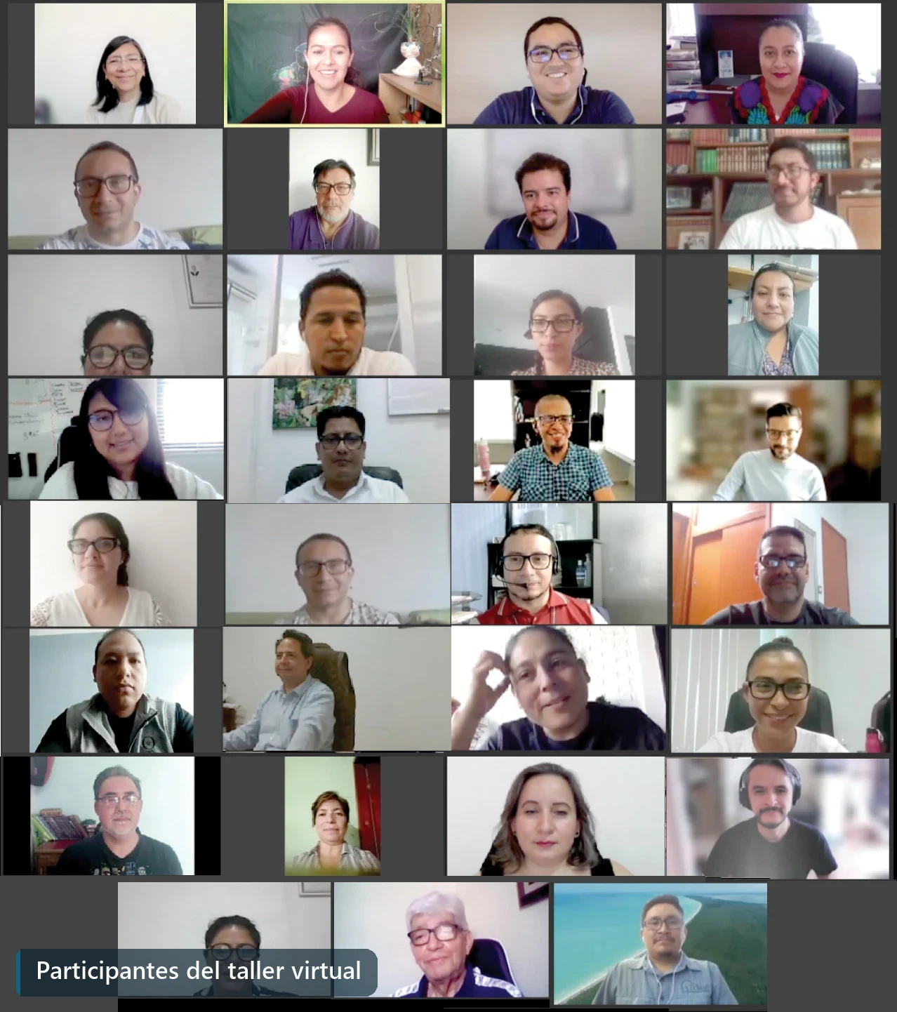 Participantes del Taller virtual TR Dos Bocas