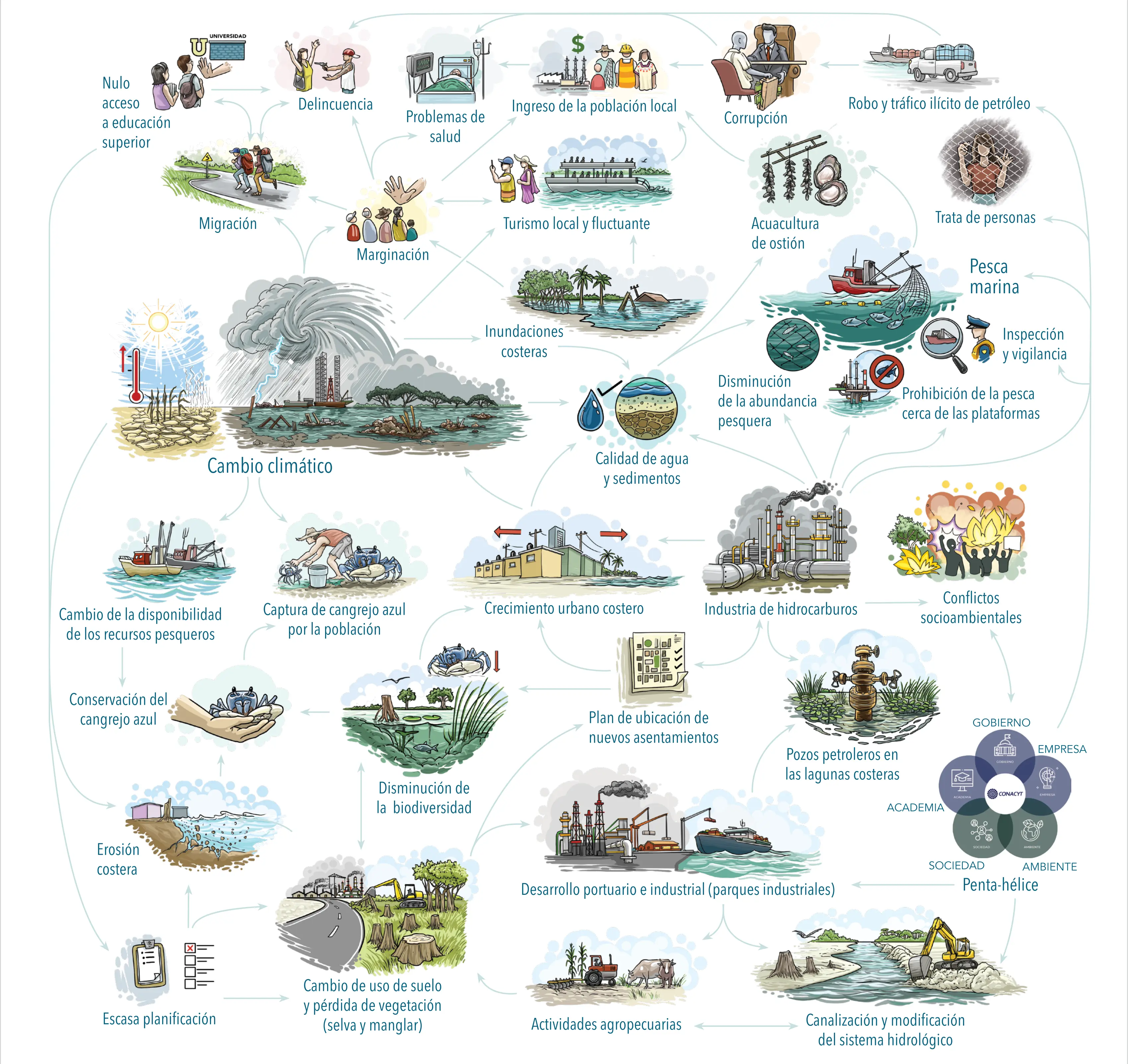 Ilustración de elementos conectados del ecosistema