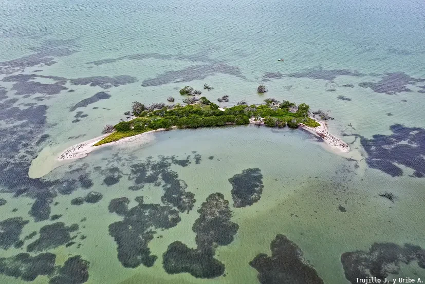 Laguna de Términos - Foto de Uribe A.