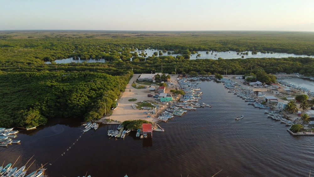 Sisal - Foto: Abraham Reyes